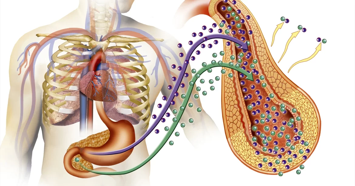 The Impact of Diabetes on Kidney Function