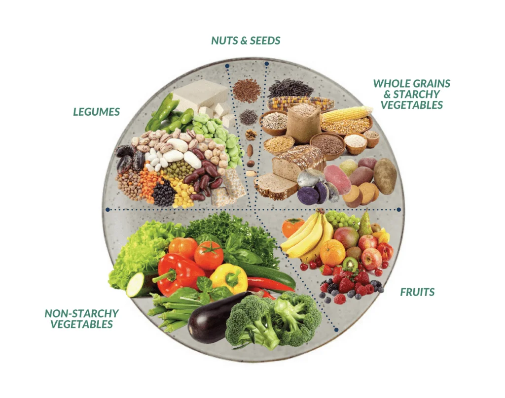 Plant-Based Diets and Kidney Health: Benefits and Considerations